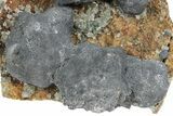 Galena and Green Fluorite - Diana Maria Mine, England #235388-2